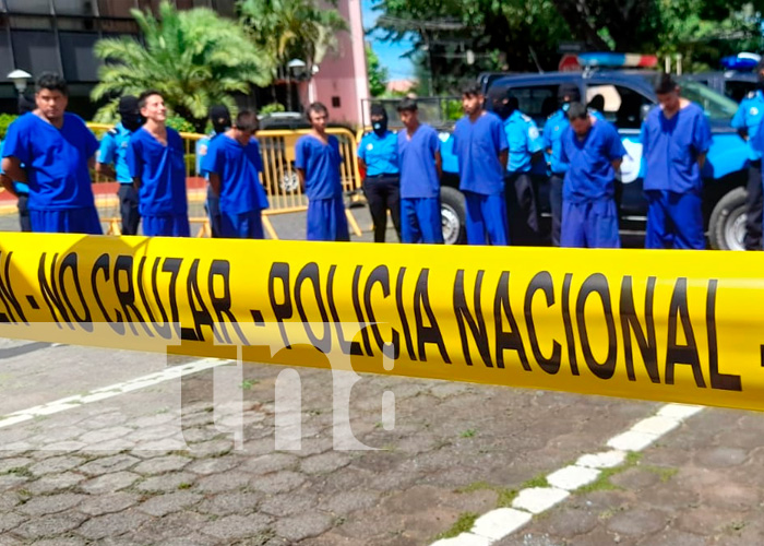 Nicaragua: National Police confirm the detention of 52 elements linked to assaults, homicides and robberies. In addition, a considerable amount of marijuana was seized in Matagalpa